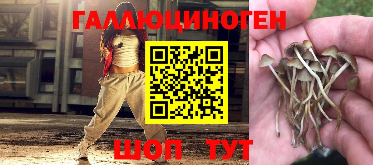 Мефедрон  МДМА  Гашиш  Меф кристаллы  Кокаин  Бийск  Бошки Шишки  Вход с VPN  NBOMe 
